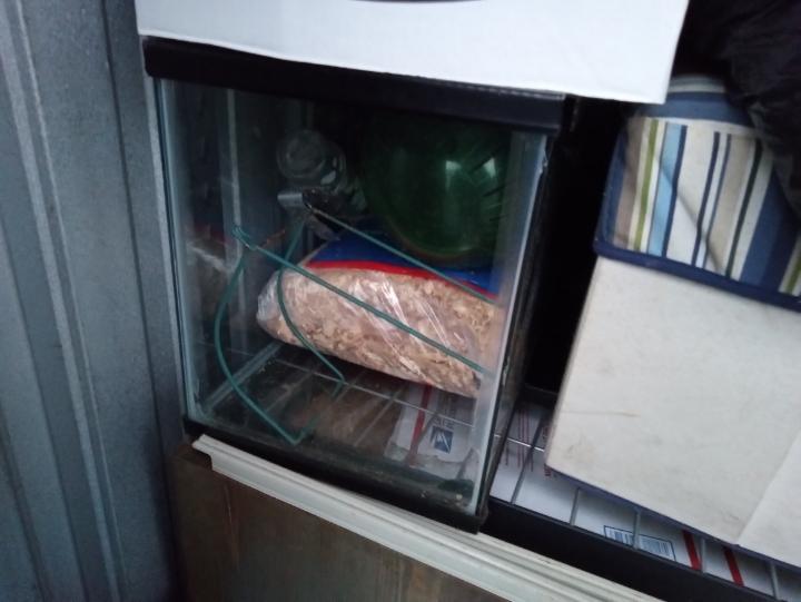 Storage Auction in Stroudsburg, PA at Dove Storage Stroudsburg ends